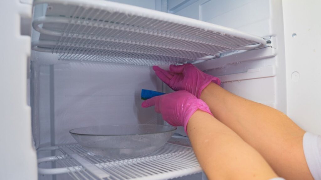 pulizia del freezer e del frigo: guarnizioni